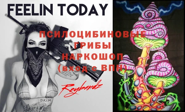 кристаллы Белокуриха