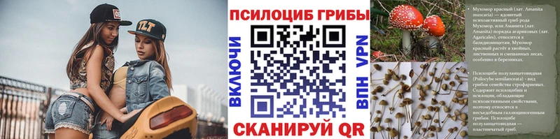 даркнет формула  Кодинск  Псилоцибиновые грибы GOLDEN TEACHER 